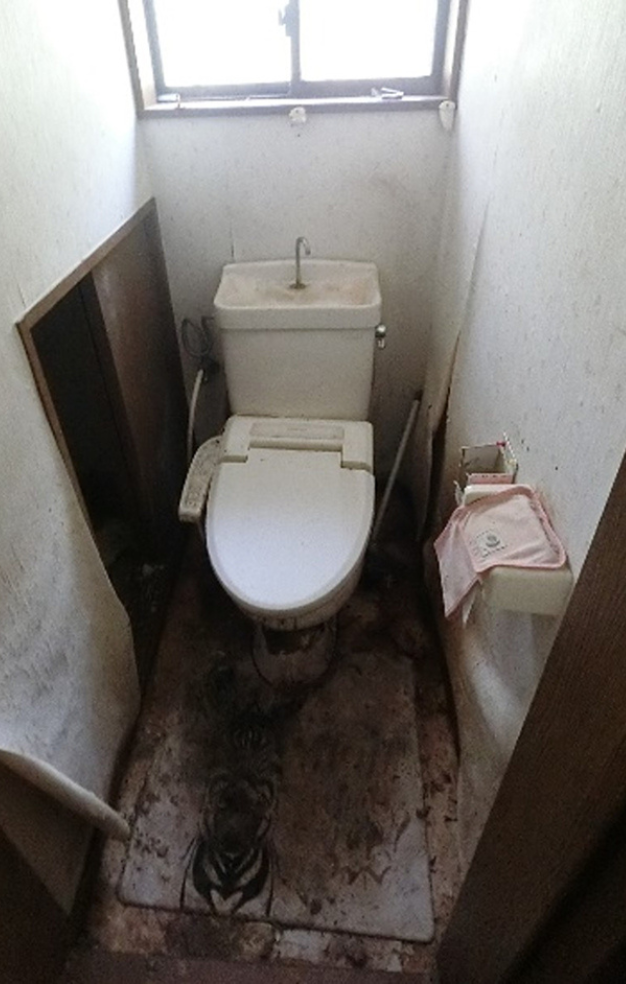 Before画像